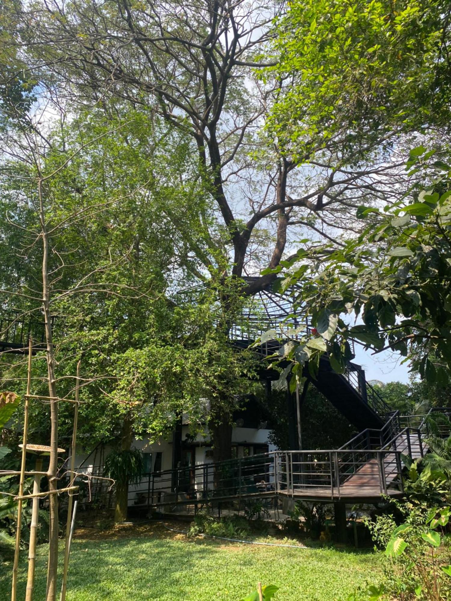 Hostelbed And Retreat Фитсанулок Екстериор снимка